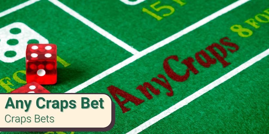 any craps bet